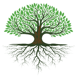 Masculine Confidence Framework